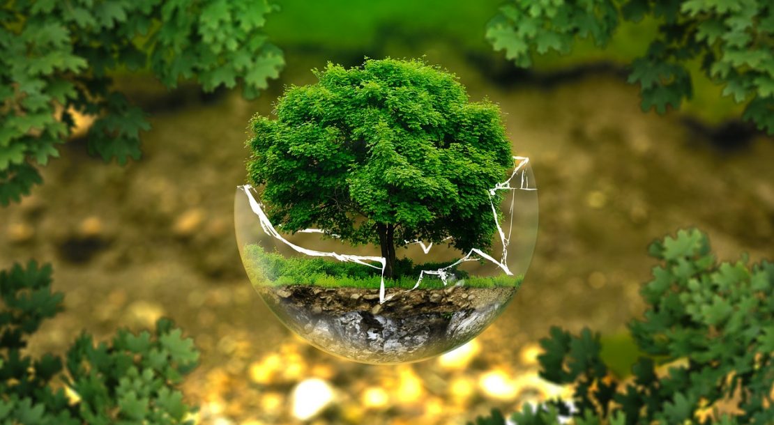 environmental-protection-326923_1280